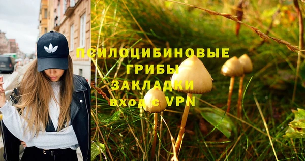 метамфетамин Майский