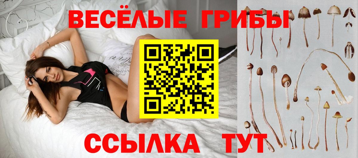 Псилоцибиновые грибы прущие грибы  Псилоцибиновые грибы Psilocybine cubensis  Нарткала  Вход с VPN 